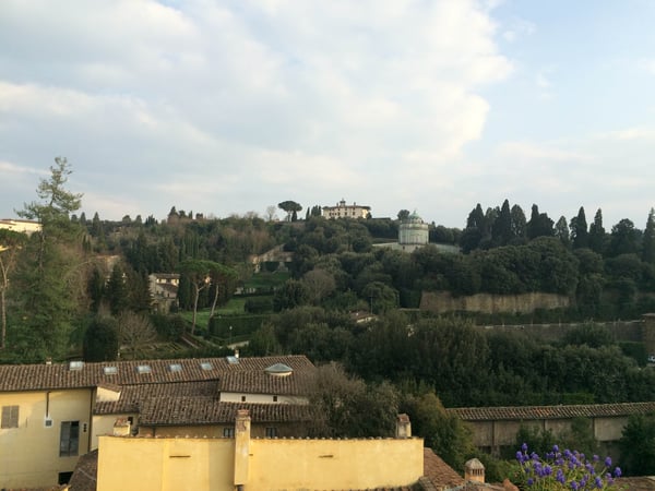 Rooftop and landscape views from the roof of our hotel, Florence, Italy
