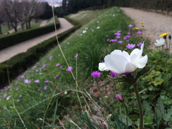Boboli Gardens, Piazza Pitti, Florence, Italy