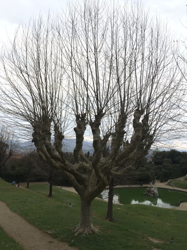 Boboli Gardens, Piazza Pitti, Florence, Italy