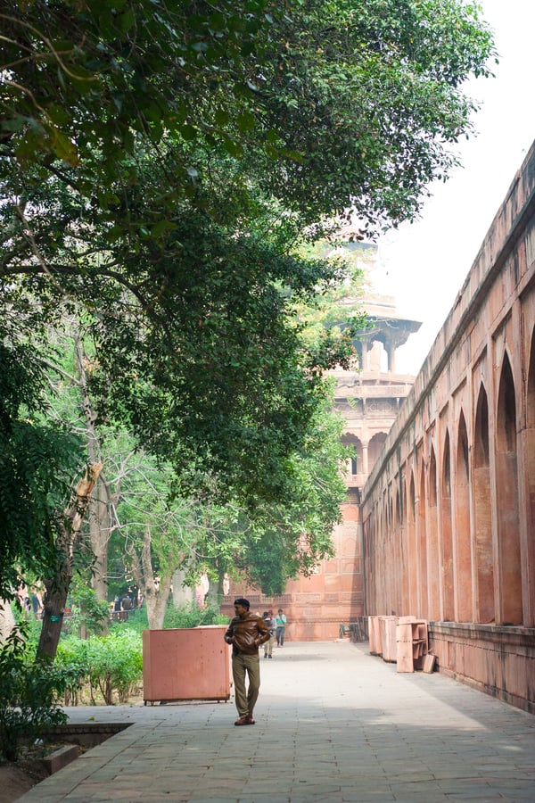 Taj Mahal surroundings, Agra, Uttar Pradesh, India