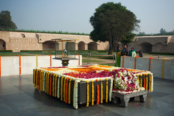 Raj Ghat all flowered up for republic day, New Delhi, Delhi, India