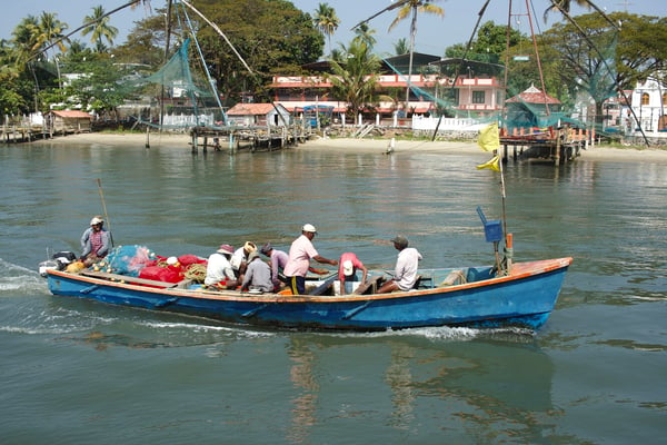 On a boat tour of the backwaters, Kerala, India