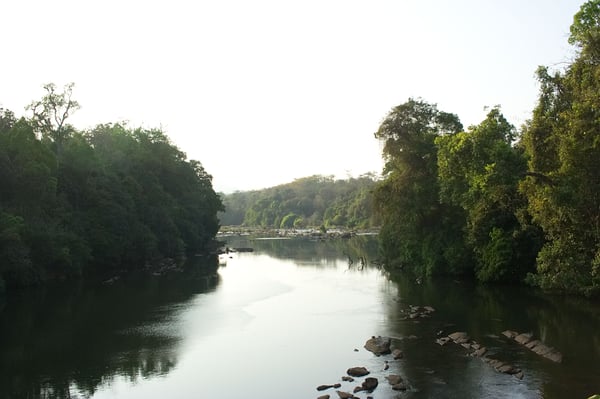 Scenic views, somewhere in Vazhachal Range, Ernakulam, Kerala, India