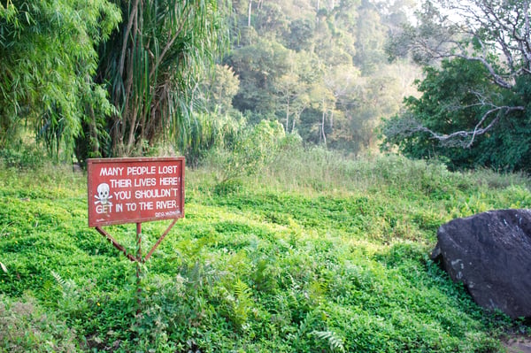 Scenic views, somewhere in Vazhachal Range, Ernakulam, Kerala, India