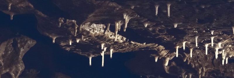 Caves featured image