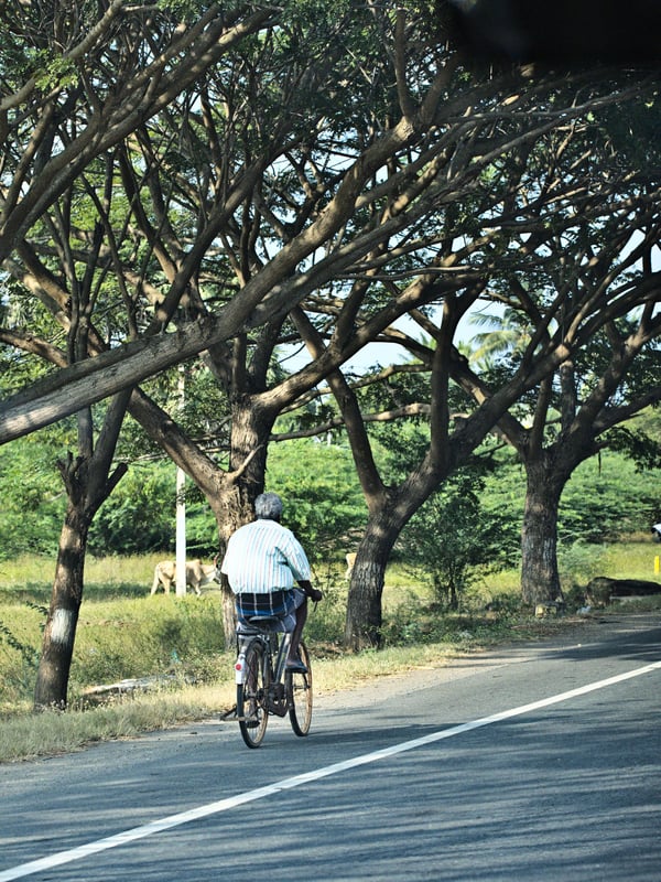 Somewhere on the road in Tamil Nadu, India