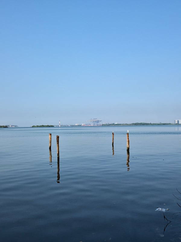 Kochi City, Kerala, India