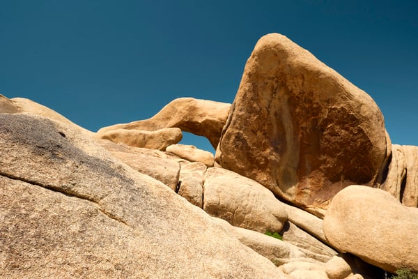 Joshua Tree National Park