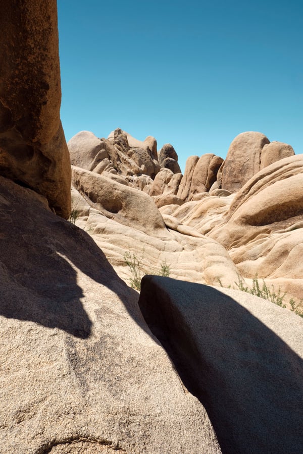 Joshua Tree National Park