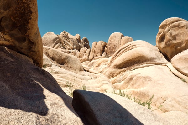 Joshua Tree National Park