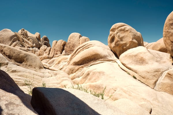 Joshua Tree National Park