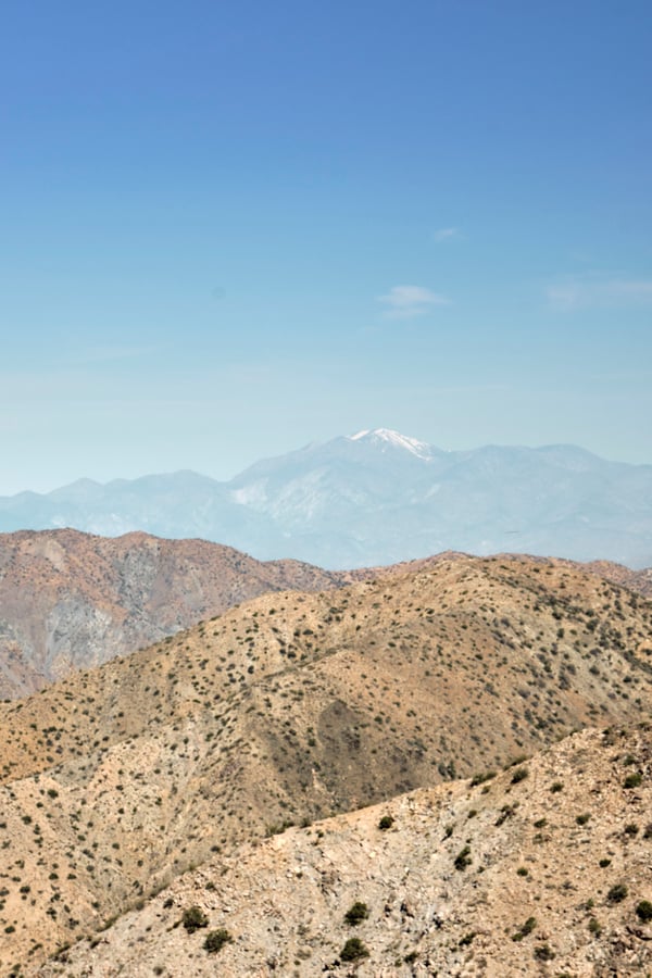 Joshua Tree National Park