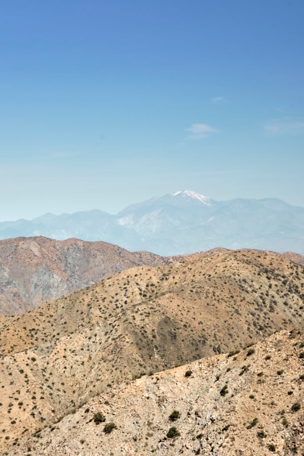 Joshua Tree National Park