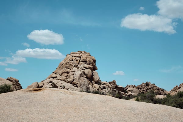Joshua Tree National Park