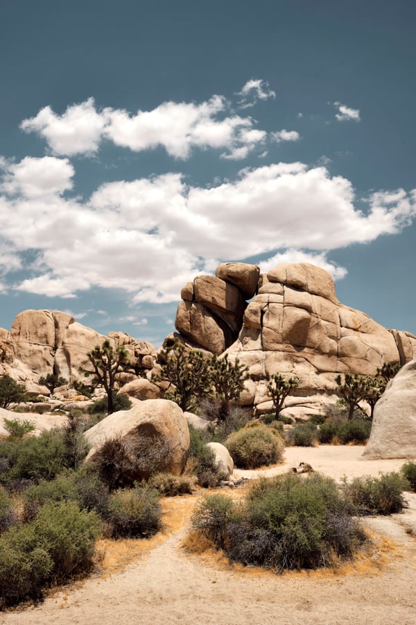 Joshua Tree National Park