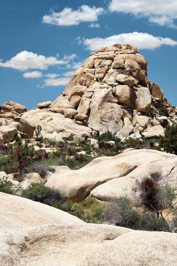 Joshua Tree National Park