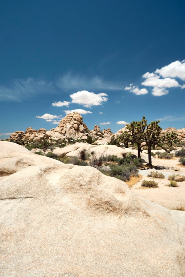 Joshua Tree National Park