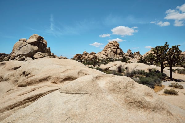 Joshua Tree National Park