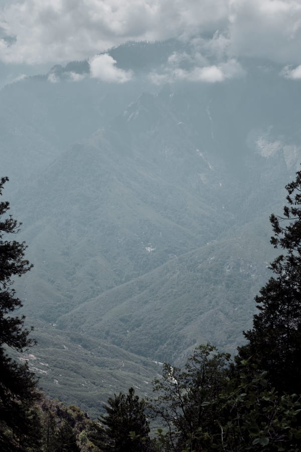 Sequoia and Kings Canyon National Parks