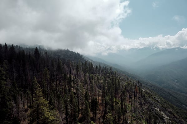 Sequoia and Kings Canyon National Parks