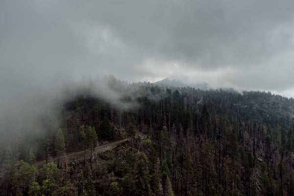 Sequoia and Kings Canyon National Parks