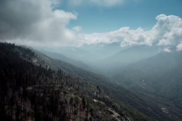 Sequoia and Kings Canyon National Parks