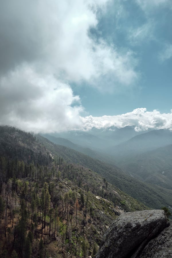 Sequoia and Kings Canyon National Parks