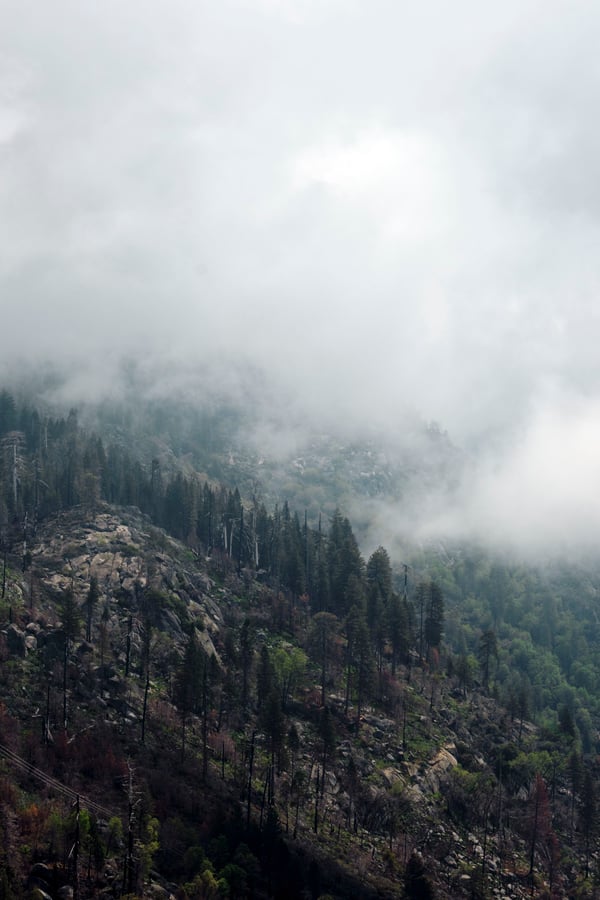 Sequoia and Kings Canyon National Parks