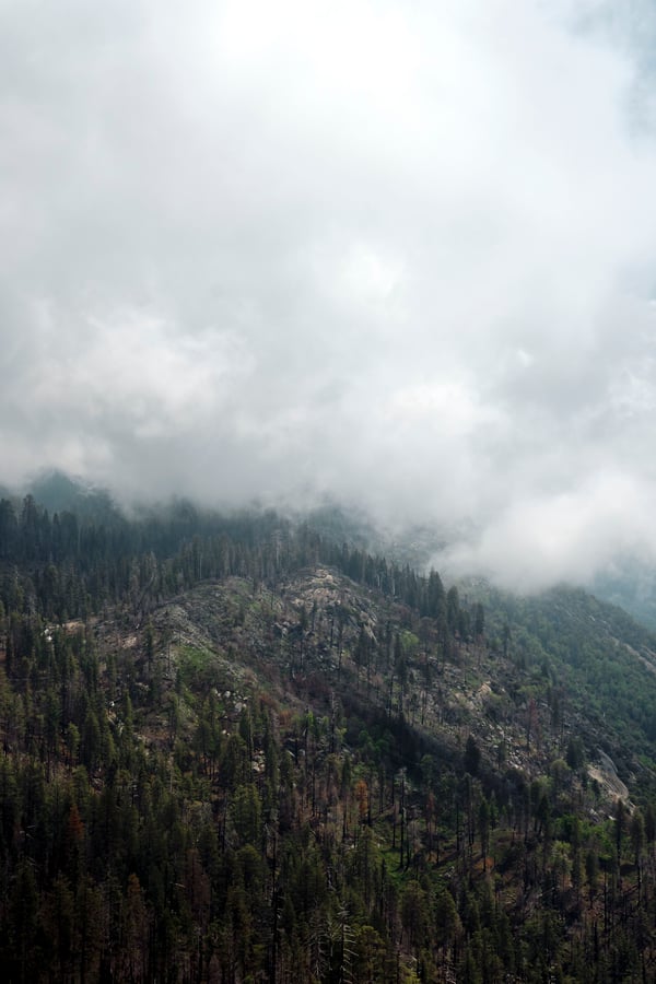 Sequoia and Kings Canyon National Parks