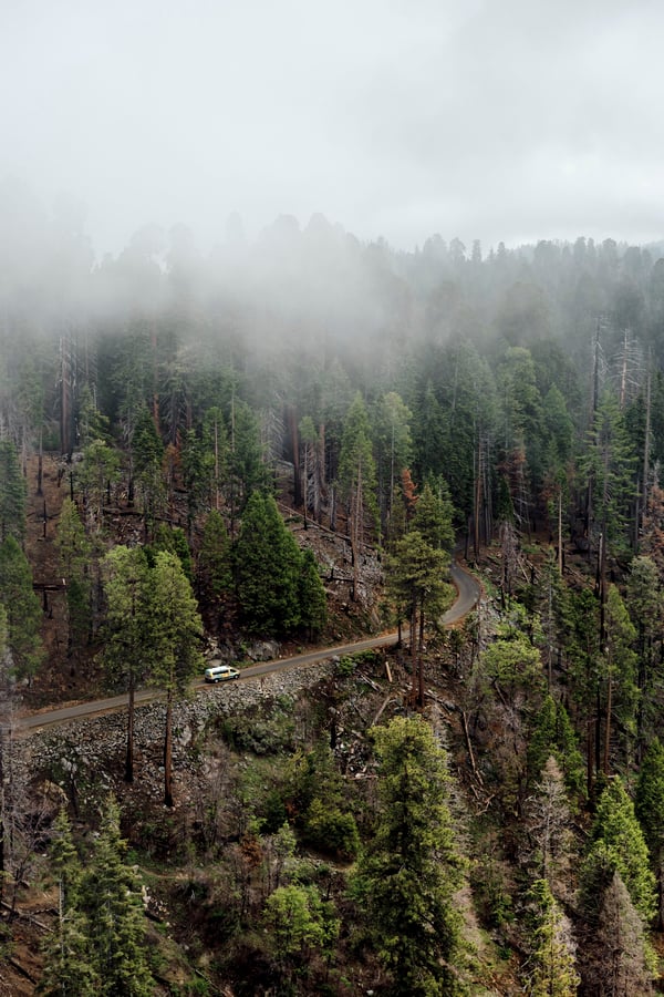 Sequoia and Kings Canyon National Parks