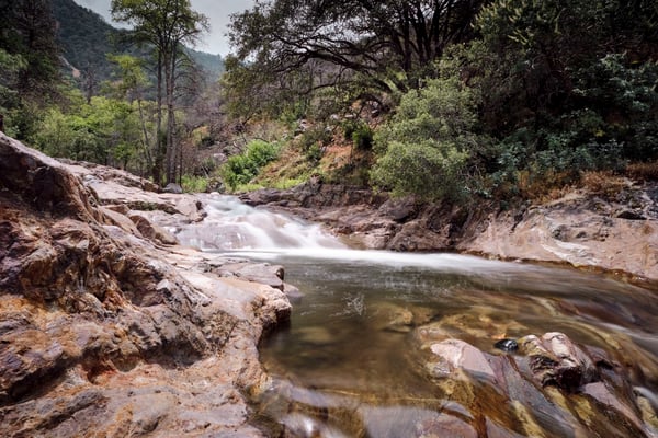 Sequoia and Kings Canyon National Parks