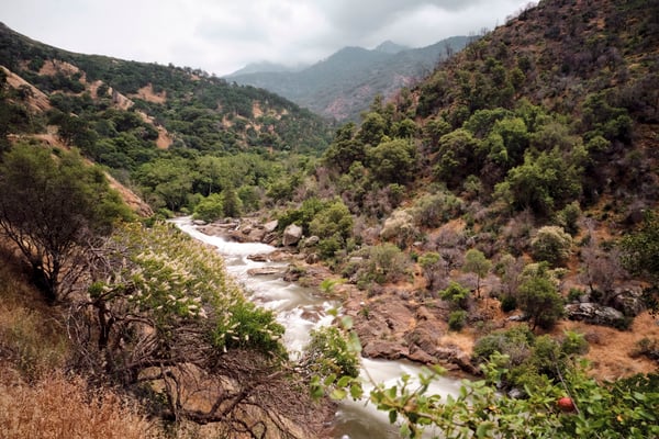 Sequoia and Kings Canyon National Parks