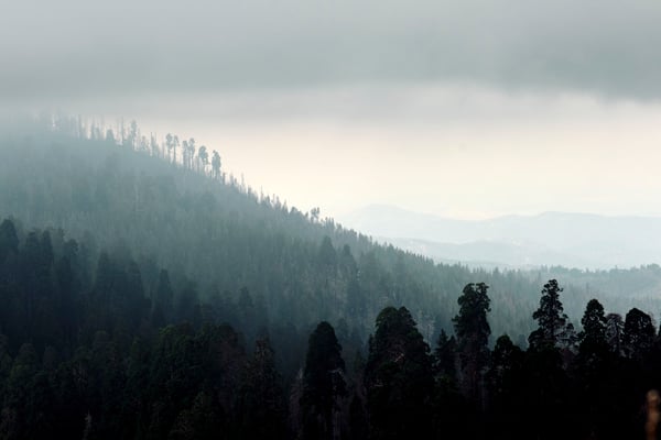 Sequoia and Kings Canyon National Parks
