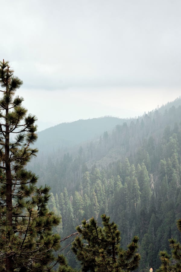 Sequoia and Kings Canyon National Parks