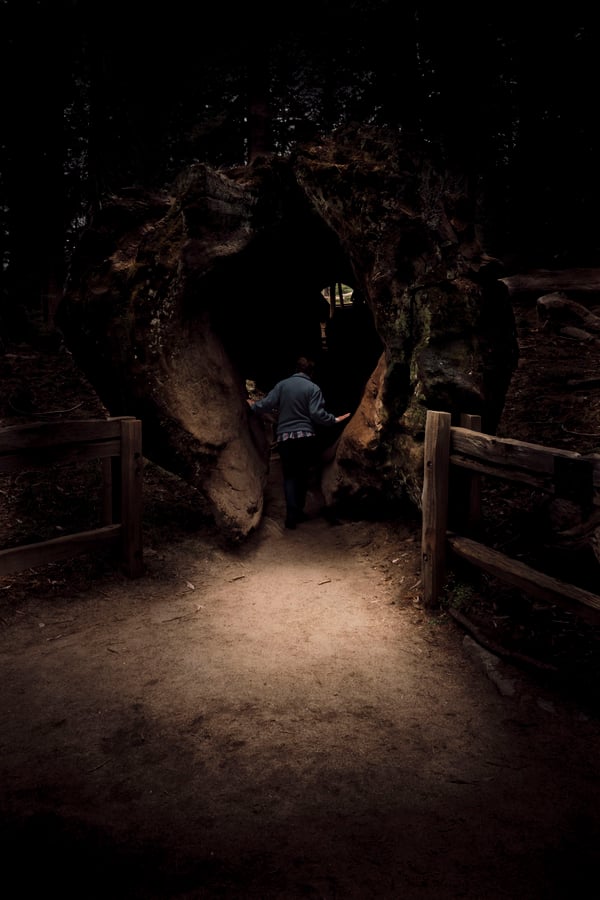 Sequoia and Kings Canyon National Parks