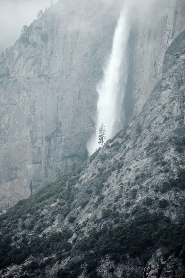 Yosemite National Park