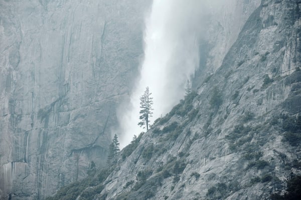 Yosemite National Park