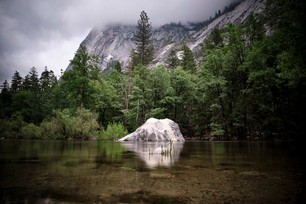Yosemite National Park