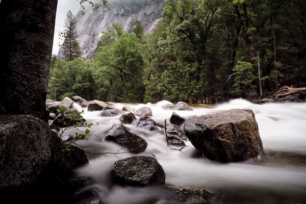 Yosemite National Park