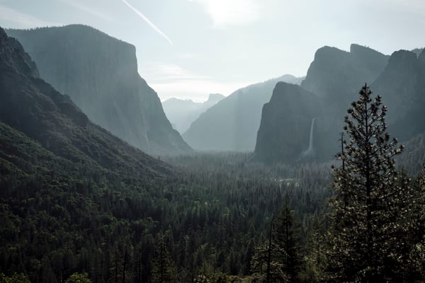 Yosemite National Park
