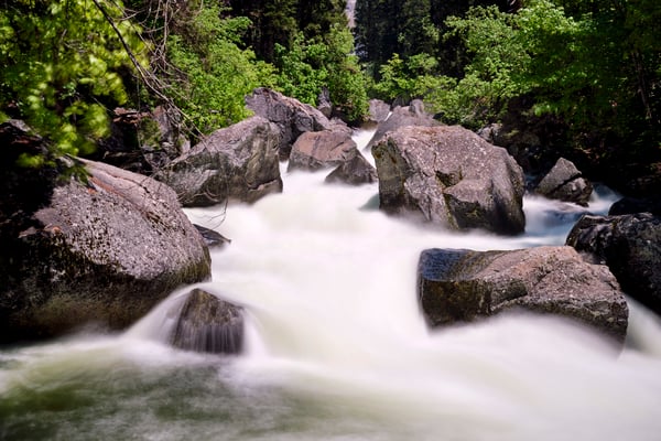 Yosemite National Park