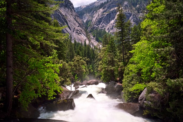 Yosemite National Park