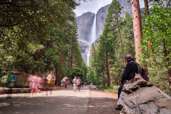 Yosemite National Park