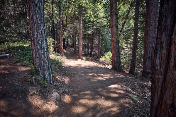 Yosemite National Park