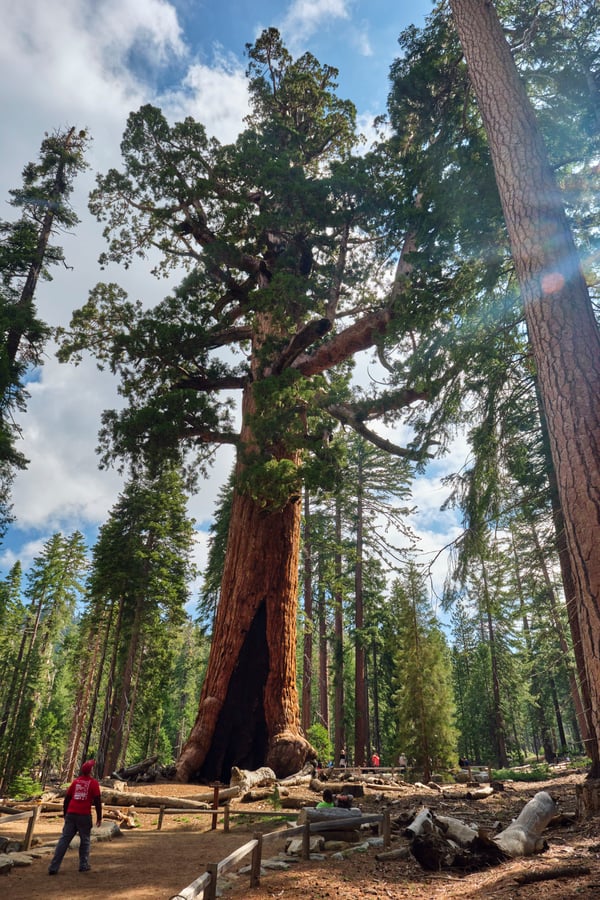 Yosemite National Park