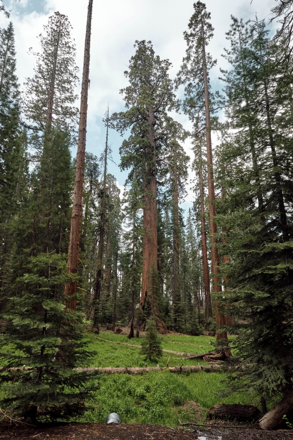 Yosemite National Park