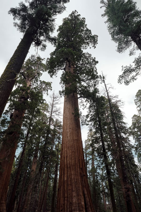 Yosemite National Park