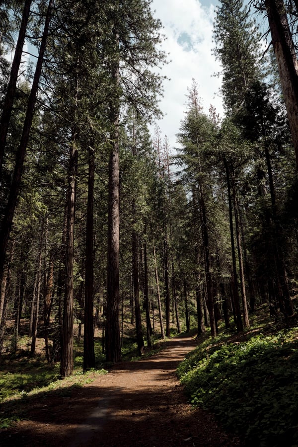 Yosemite National Park