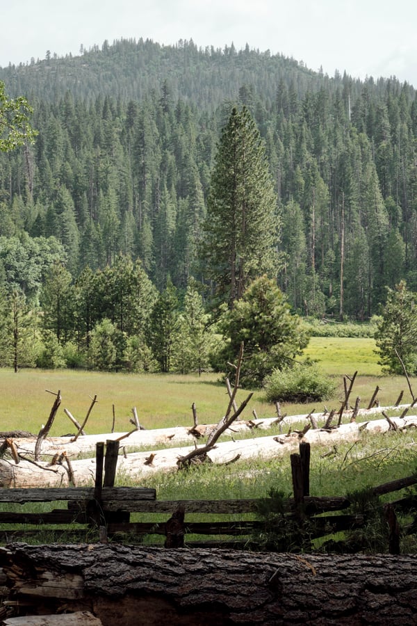 Yosemite National Park