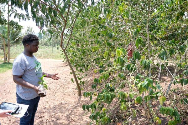 Coffee farmer, Akagera Coffee, Rwanda